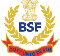 bsf logo